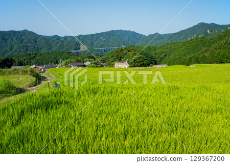 《田園風景》夏季坂本梯田(三重縣龜山市) 《田園風景》夏季坂本梯田(三重縣龜山市) 129367200