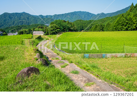 《田園風景》夏季坂本梯田(三重縣龜山市) 《田園風景》夏季坂本梯田(三重縣龜山市) 129367201