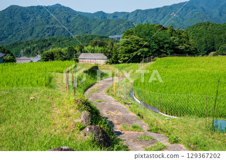 "Rural Landscape" Sakamoto Rice Terraces in Summer (Kameyama City, Mie Prefecture) "Rural Landscape" Sakamoto Rice Terraces in Summer (Kameyama City, Mie Prefecture) 129367202