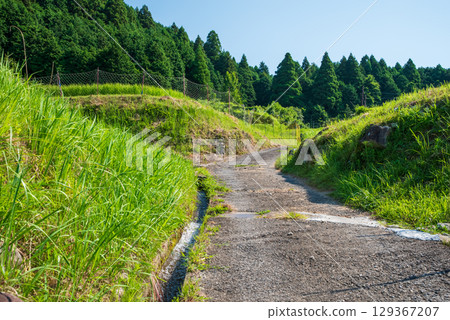 "Summer Rural Landscape" Sakamoto Rice Terraces (Kameyama City, Mie Prefecture) "Summer Rural Landscape" Sakamoto Rice Terraces (Kameyama City, Mie Prefecture) 129367207