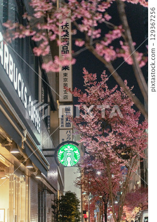 春夜盛開的岡山櫻花和咖啡館林立的街道 129367256