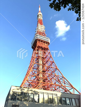 Tokyo Tower looking up from the bottom 129367484