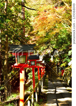 與牛若丸相關的鞍馬寺的秋葉 與牛若丸相關的鞍馬寺的秋葉 129368049