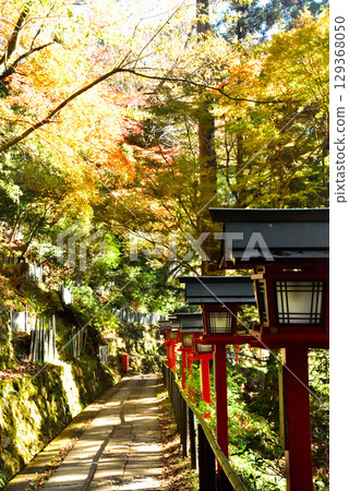 Autumn leaves at Kurama-dera Temple, a temple associated with Ushiwakamaru 129368050