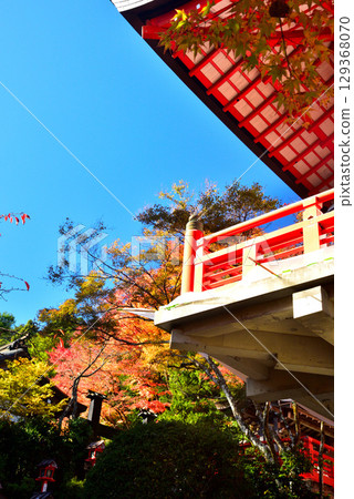 與牛若丸相關的鞍馬寺的秋葉 與牛若丸相關的鞍馬寺的秋葉 129368070