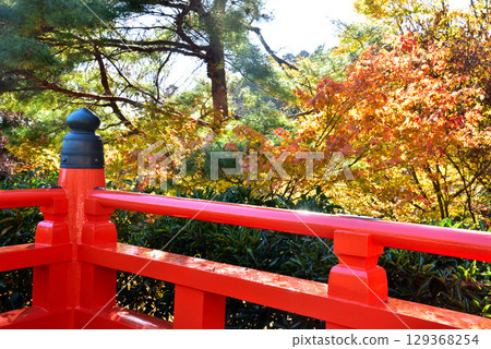 Autumn leaves at Kurama-dera Temple, a temple associated with Ushiwakamaru 129368254