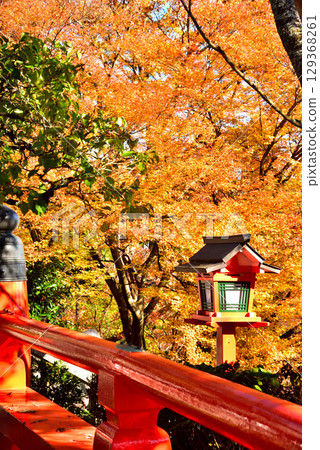 Autumn leaves at Kurama-dera Temple, a temple associated with Ushiwakamaru 129368261
