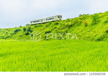 夏季清晨，薄霧瀰漫的小海線小淵澤大彎道 129368336