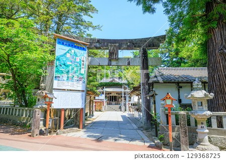 Imori Shrine in early summer, Fukuoka City, Fukuoka Prefecture 129368725