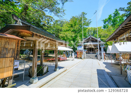 Imori Shrine in early summer, Fukuoka City, Fukuoka Prefecture 129368728