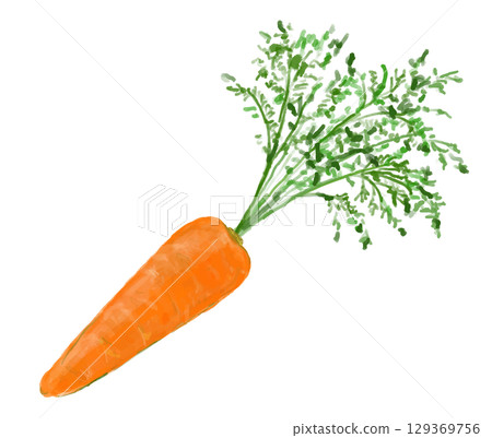 Illustration of a carrot with leaves 129369756