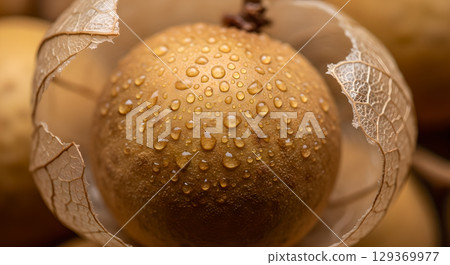 Close-up longan fruit showcases its unique texture, adorned with water droplets, its translucent husk 129369977