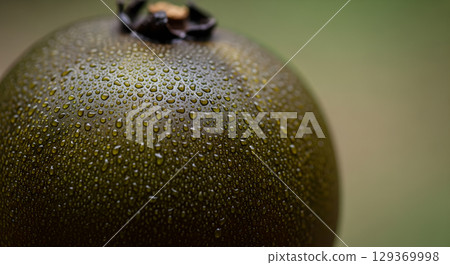 Close up of a khaki persimmon fruit glistening with fresh water droplets showing its texture Close up of a khaki persimmon fruit glistening with fresh water droplets showing its texture 129369998