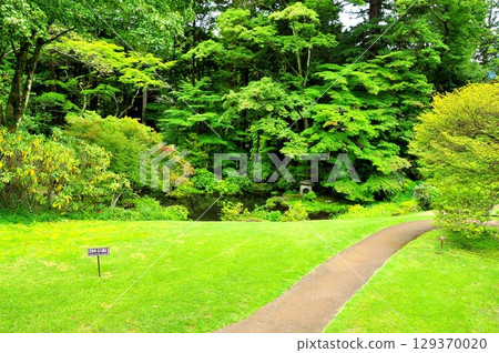 栃木縣日光田母澤離宮紀念公園散步道 栃木縣日光田母澤離宮紀念公園散步道 129370020