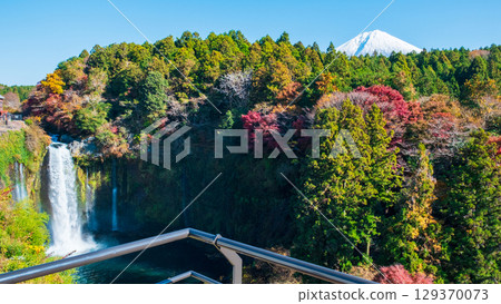 Otodome Falls and Mt. Fuji (Autumn) 129370073