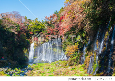 Shiraito Falls (Autumn) Shiraito Falls (Autumn) 129370077