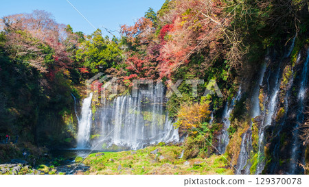 Shiraito Falls (Autumn) 129370078