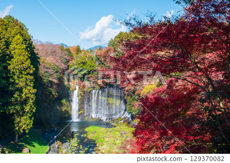 Shiraito Falls (Autumn) Shiraito Falls (Autumn) 129370082