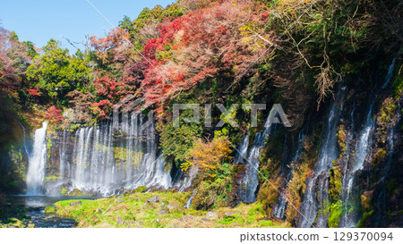 Shiraito Falls (Autumn) 129370094