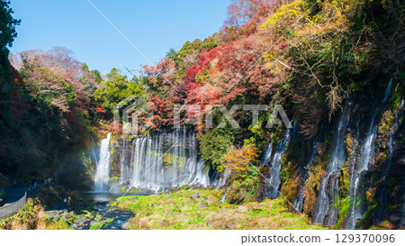 Shiraito Falls (Autumn) 129370096