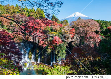 Shiraito Falls and Mt. Fuji (Autumn) 129370108