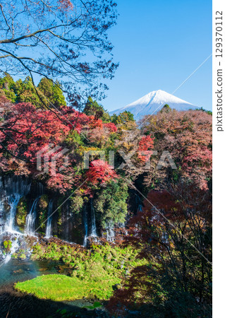 Shiraito Falls and Mt. Fuji (Autumn) 129370112