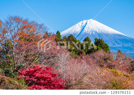  富士山和富士山 129370151