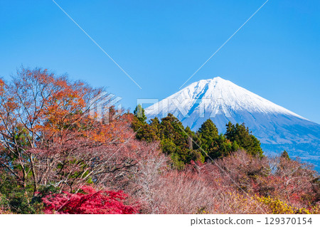  Fuji and Mt. Fuji 129370154