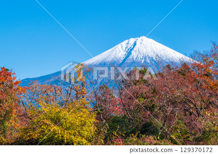  富士山和富士山 129370172