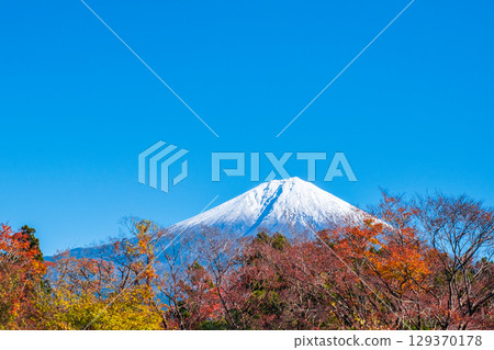  Fuji and Mt. Fuji 129370178