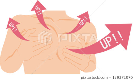 胸部插圖 胸部插圖 129371070