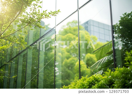 Reflections of Lush Greenery on Modern Glass Building Facade in Urban Environment 129371703