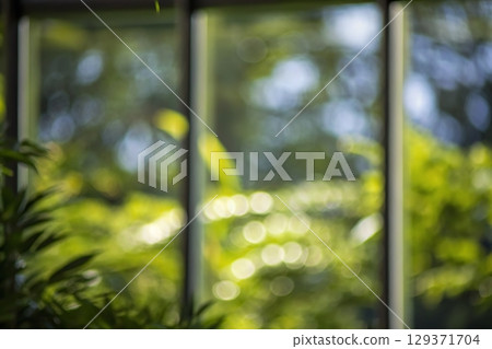 Blurred Green Foliage Behind Glass Panels in Bright Indoor Environment with Natural Light 129371704