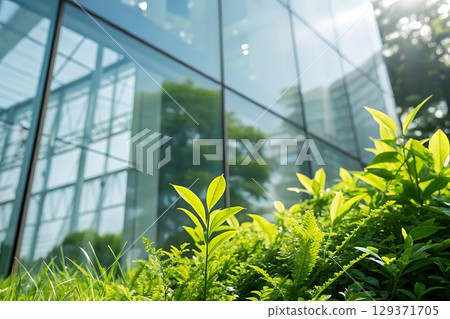 Fresh Green Leaves in Front of Modern Glass Building Reflecting Natural Light 129371705