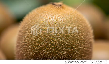 Close-up of a kiwi fruit with water droplets highlighting its texture for a fresh and healthy appeal 129372409