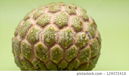 Close up of sugar apple or sweetsop with water droplets creating beautiful texture on background Close up of sugar apple or sweetsop with water droplets creating beautiful texture on background 129372418