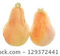 Watercolor illustration of two butternut squashes lined up 129372441
