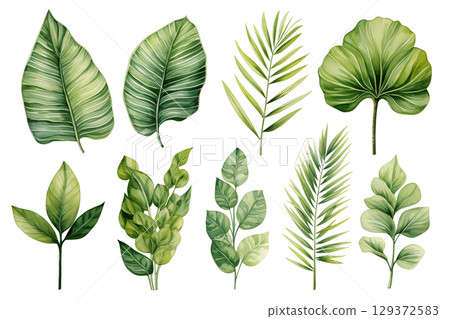 tropical leaves in shades of green with a watercolor effect on a white background. 129372583