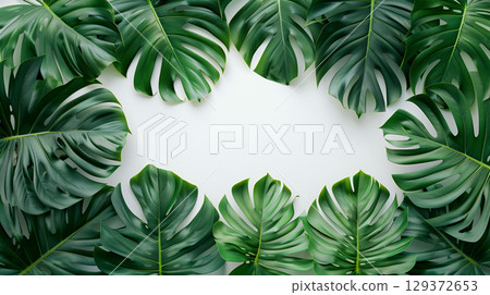 tropical leaves on a white background. 129372653