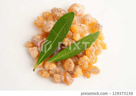 Frankincense or olibanum aromatic resin used in incense and perfumes. Frankincense or olibanum aromatic resin used in incense and perfumes. 129373139