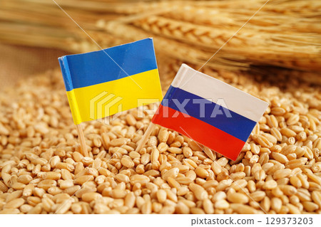 Ukraine and Russia flag on grain wheat, trade export and economy concept. 129373203