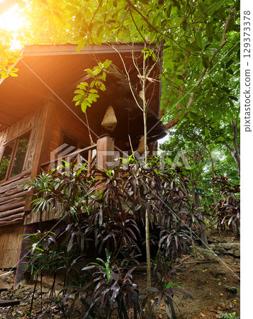 A beautiful beach cottage, wonderfully embraced by vibrant thick greenery A beautiful beach cottage, wonderfully embraced by vibrant thick greenery 129373378