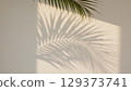 Palm leaf shadow elegantly displayed on a white wall, enhancing the tranquil ambiance of the space, showcasing the beauty of natural light and simplicity 129373741