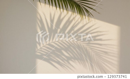 Palm leaf shadow elegantly displayed on a white wall, enhancing the tranquil ambiance of the space, showcasing the beauty of natural light and simplicity Palm leaf shadow elegantly displayed on a white wall, enhancing the tranquil ambiance of the space, showcasing the beauty of natural light and simplicity 129373741