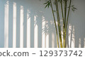 Elegant bamboo plant positioned against a wall, casting beautiful shadows, illuminated by natural light, enhancing the tranquil ambiance of the environment 129373742