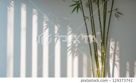 Elegant bamboo plant positioned against a wall, casting beautiful shadows, illuminated by natural light, enhancing the tranquil ambiance of the environment Elegant bamboo plant positioned against a wall, casting beautiful shadows, illuminated by natural light, enhancing the tranquil ambiance of the environment 129373742
