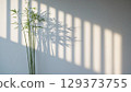 Bamboo plant is positioned against a textured wall, with soft light casting delicate shadows, enhancing the peaceful ambiance of the contemporary interior design 129373755