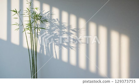 Bamboo plant is positioned against a textured wall, with soft light casting delicate shadows, enhancing the peaceful ambiance of the contemporary interior design Bamboo plant is positioned against a textured wall, with soft light casting delicate shadows, enhancing the peaceful ambiance of the contemporary interior design 129373755