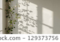 Green vine with white flowers creates beautiful shadows on a bright wall, enhancing the tranquil ambiance of the interior space with natural elements 129373756
