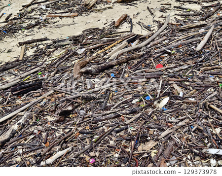 A beach heavily littered with wood and plastic A beach heavily littered with wood and plastic 129373978